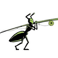 Иконка канала Современная рыбалка с Алексеем Мурашко