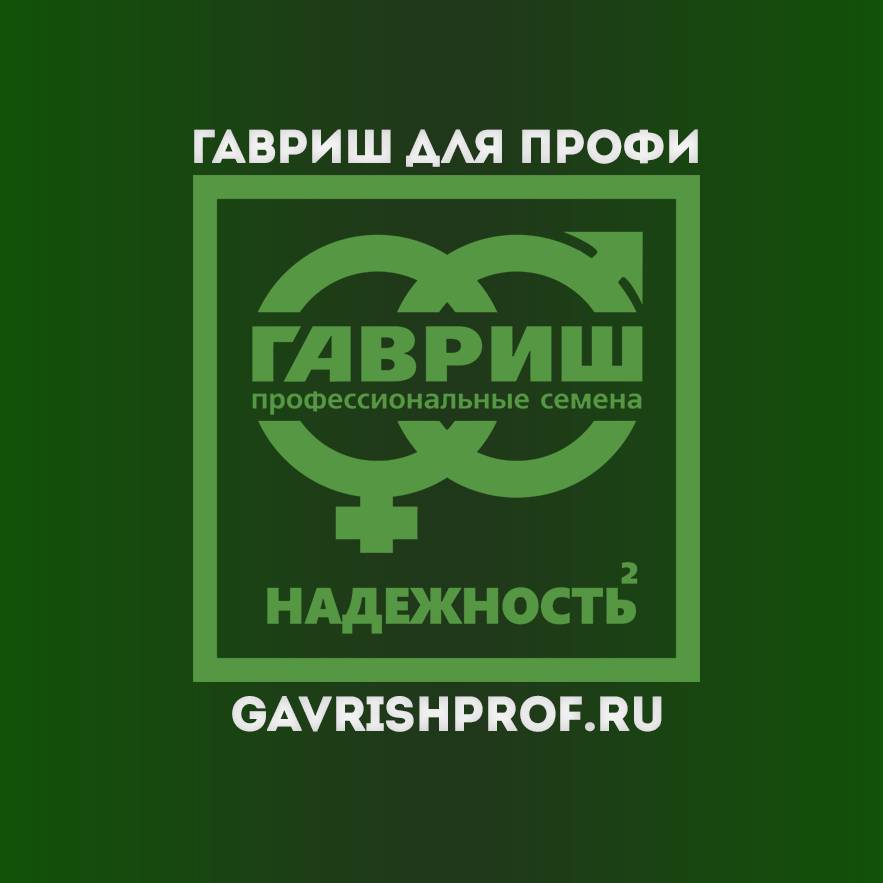https://pic.rutubelist.ru/user/d8/3c/d83ccdeec15f000eef06895d2329021f.jpg