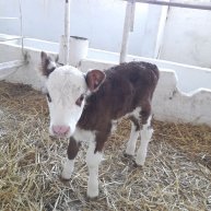 Иконка канала Хуторянка