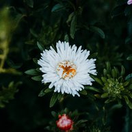 Иконка канала Играй и Зарабатывай