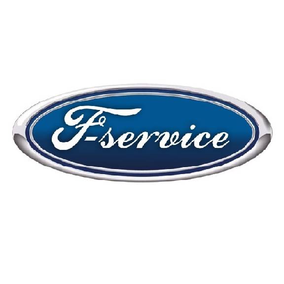 F-Service 31