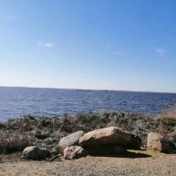 Иконка канала С камерой по Москве и городам России.