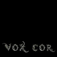 Иконка канала VoxCor