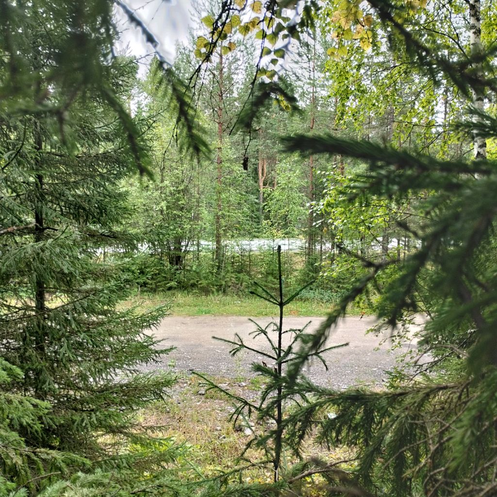 Иконка канала Avto,Buss196