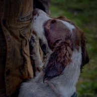 Иконка канала Uncompromising