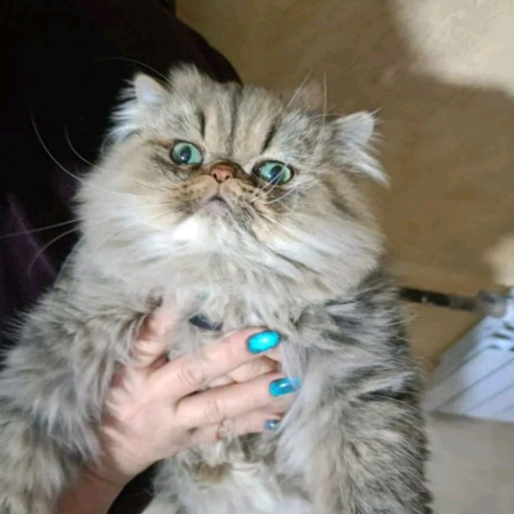 Аватар