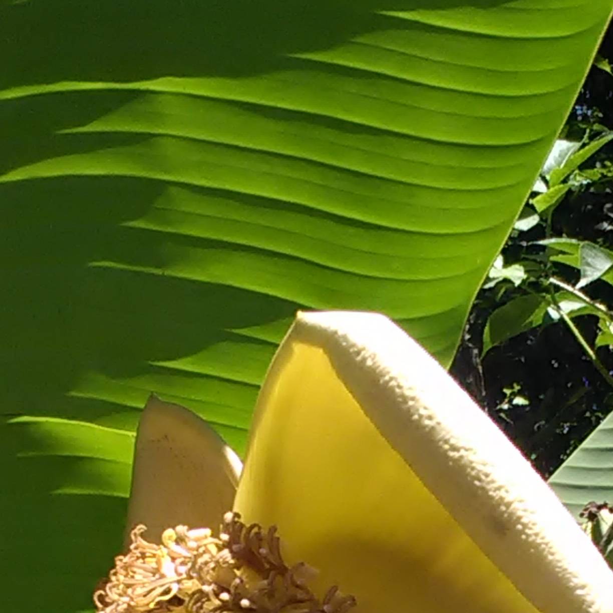 Иконка канала Романы о любви-подкаст