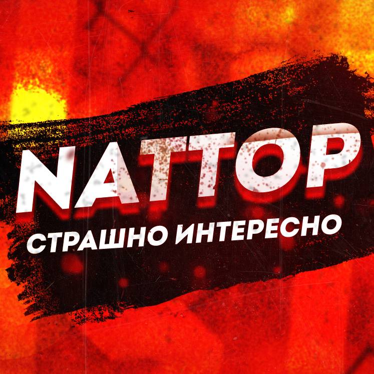 Иконка канала NATTOP