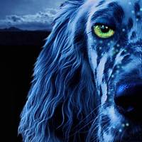 Иконка канала Жеравин Виктор