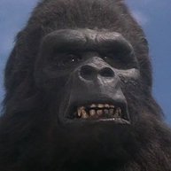 Иконка канала Бибизьян