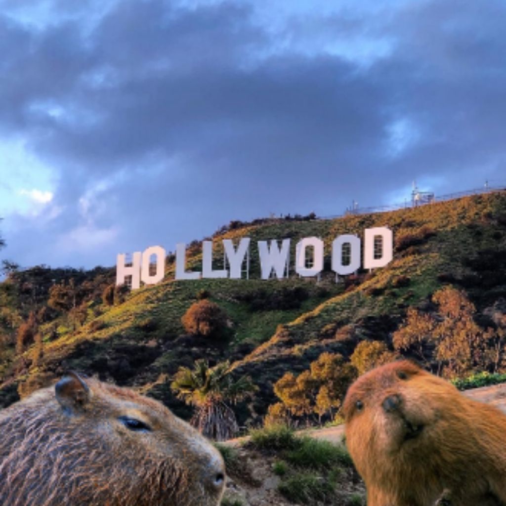 Канал BOBERKA смотри онлайн на RUTUBE!