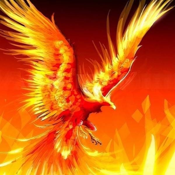 Иконка канала Empire Phoenix