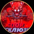 Иконка канала Спорт Эксклюзив ММА