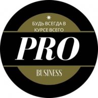 Иконка канала PRO Business