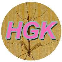 Иконка канала HGK
