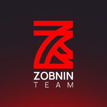 Иконка канала ZOBNIN TEAM