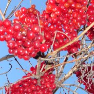 Иконка канала фатрам