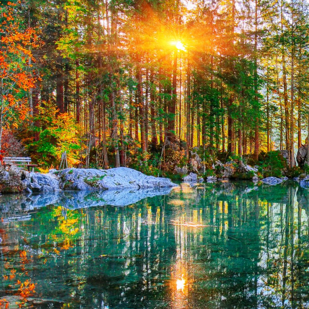 Иконка канала Видео