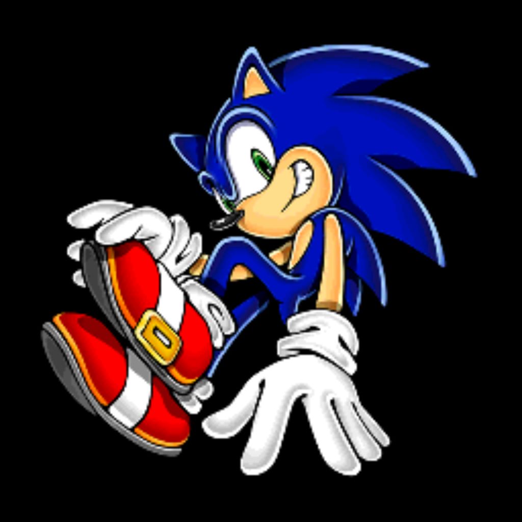 Канал sonic. Анимация Соника в роликах. Sonic Idol. Sonic animation e-ville. Sonic channel блейзер.