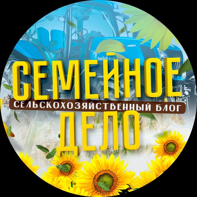 Семейное дело на RUTUBE: 2 видео – смотреть онлайн и бесплатно (33162214)