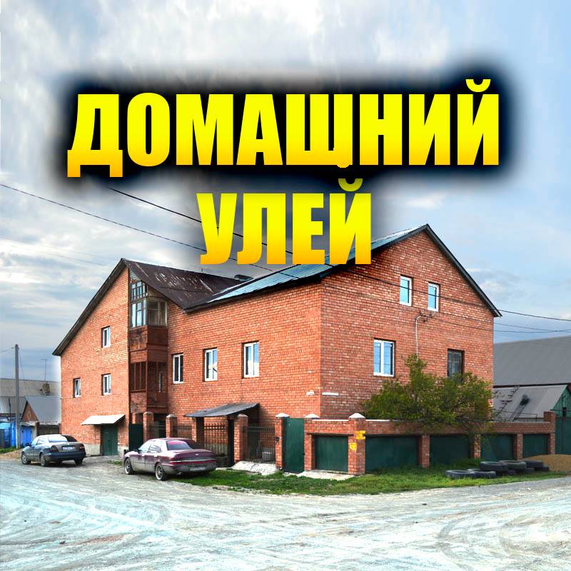 Домашний Улей