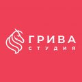 Иконка канала Грива Студия
