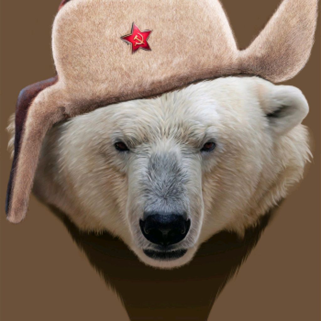 Белый медведь ава