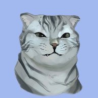 Иконка канала Yeti Cat