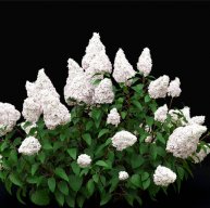 Иконка канала Все в сад.Дела огородные.