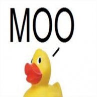 Иконка канала Moo Duck