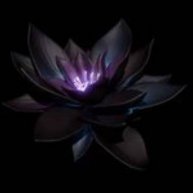 Black Lotus Music for relaxation