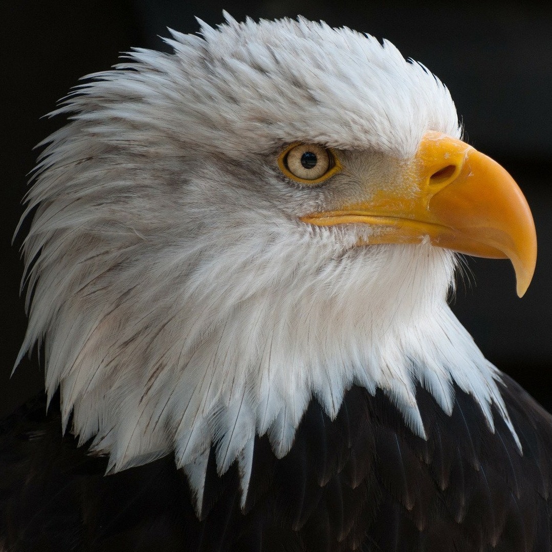 Иконка канала Вадим Басов