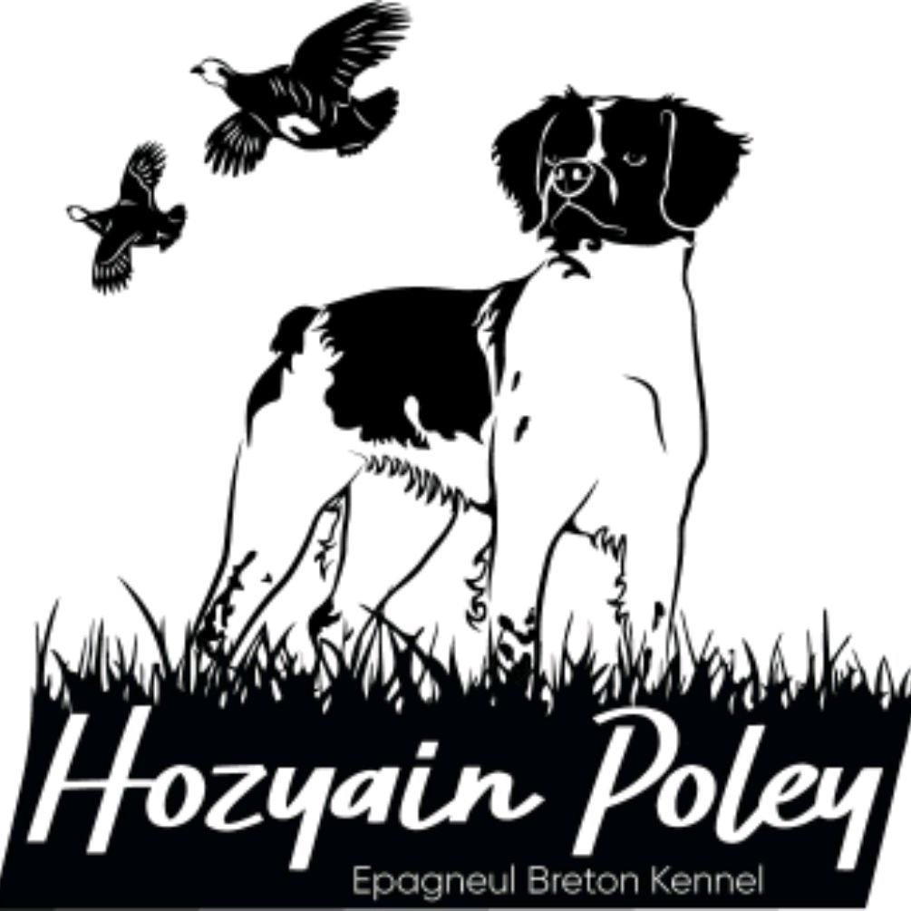 Иконка канала Хозяин полей