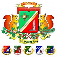 Иконка канала Муниципальные округа Зеленограда
