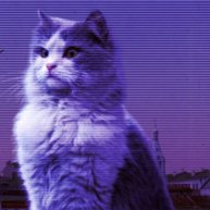Иконка канала Русский Котъ