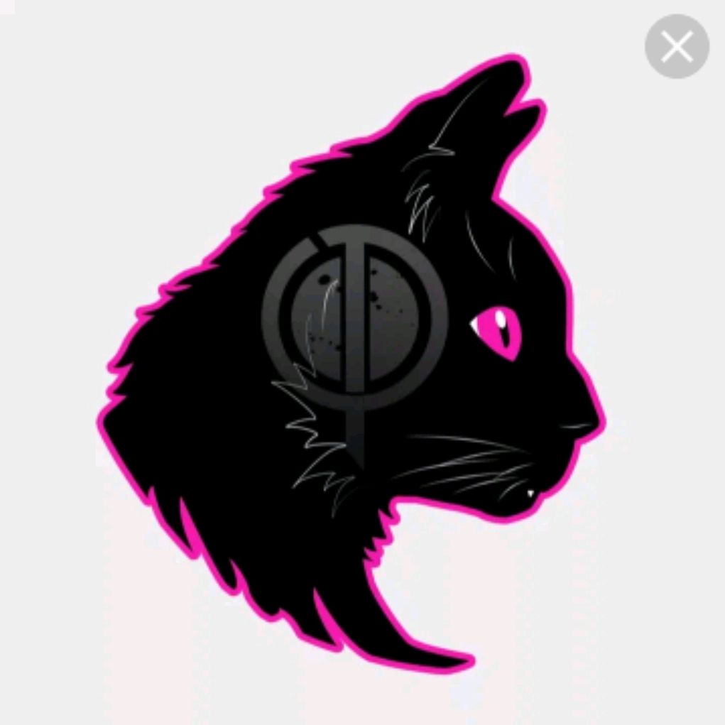 Симбочка кэт. Чёрный кот. Черный кот эмблема. Логотип для авы котик. Аватар кот.