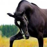 Иконка канала Этот светлый мир