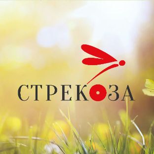 Иконка канала СТРЕКОЗА Издательство