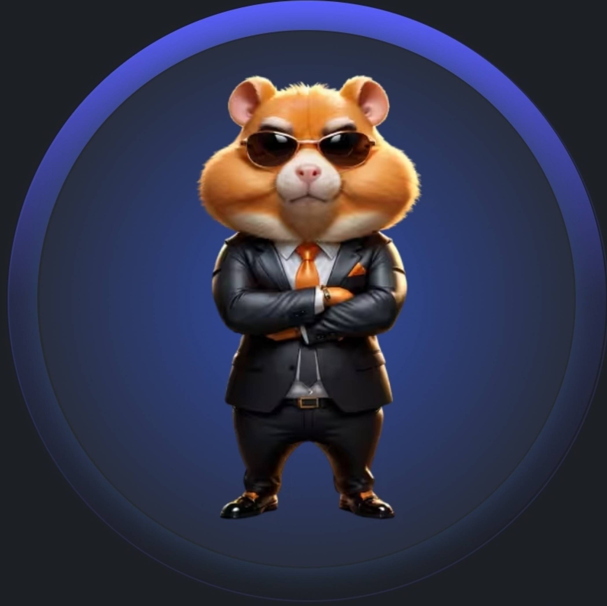 Ddnet hamster combat