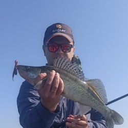 Иконка канала LifeSpin