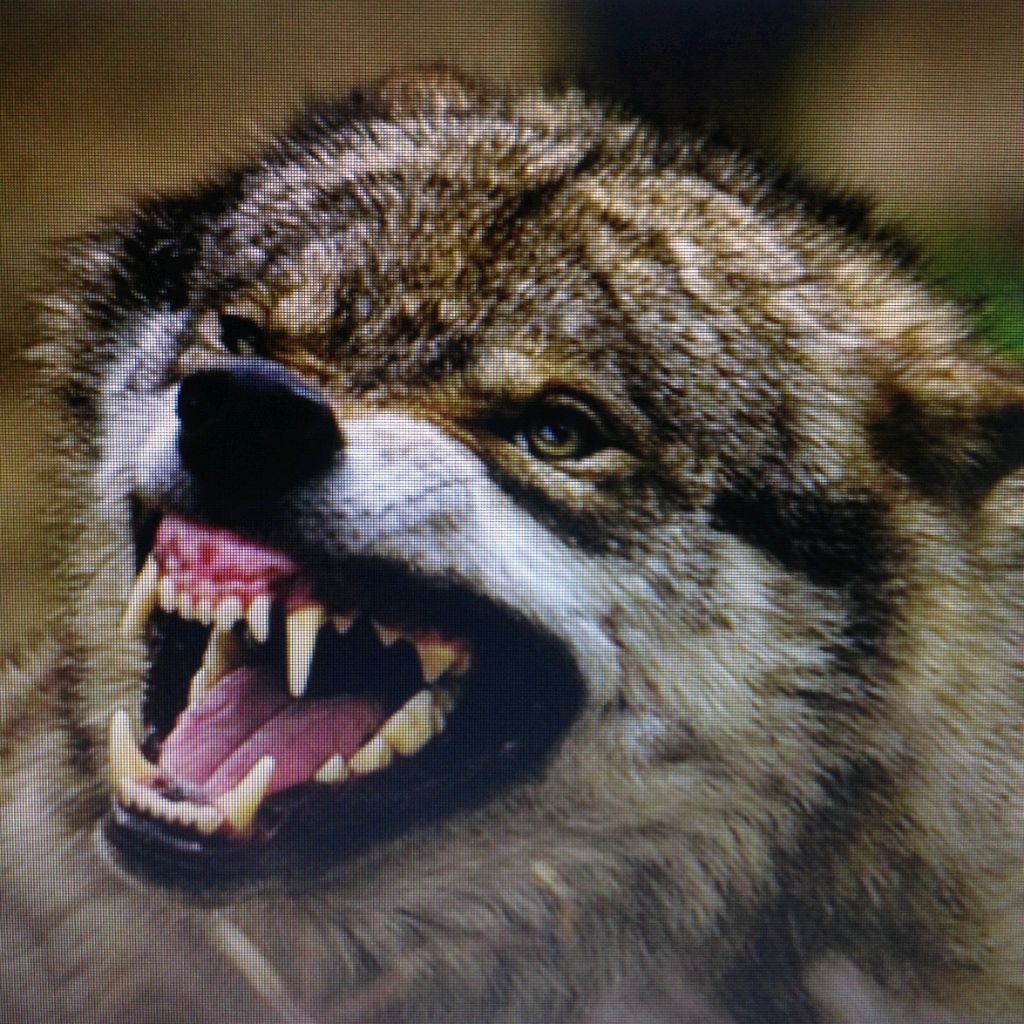 Иконка канала Олег Михель