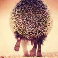 Иконка канала Askeza