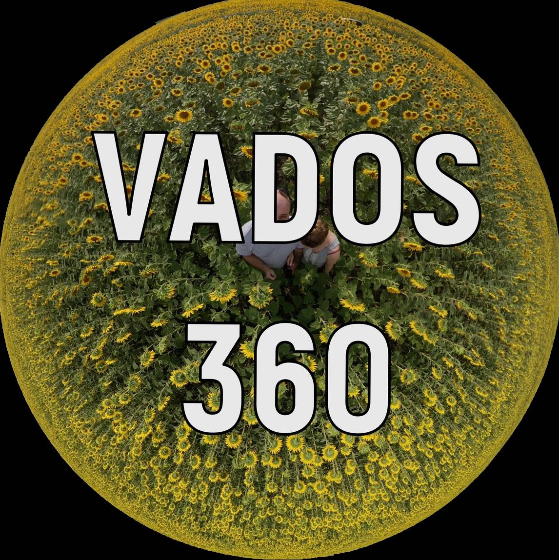 VADOS360