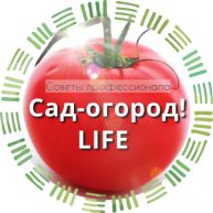 Иконка канала Сад-огород life