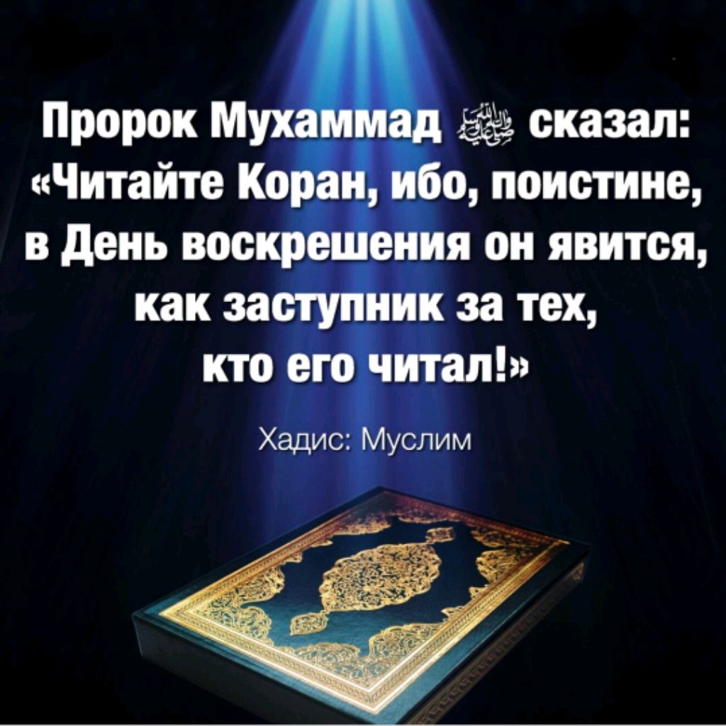 Хадисы пророка про жизнь