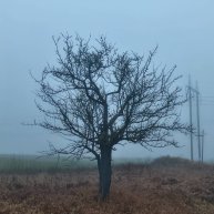 Иконка канала Денис Путешественник.