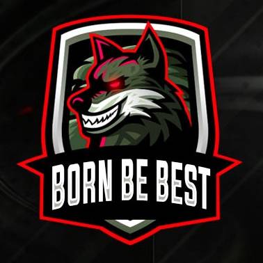 Иконка канала BORN BE BEST