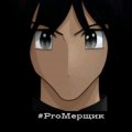 Иконка канала ProМерщик