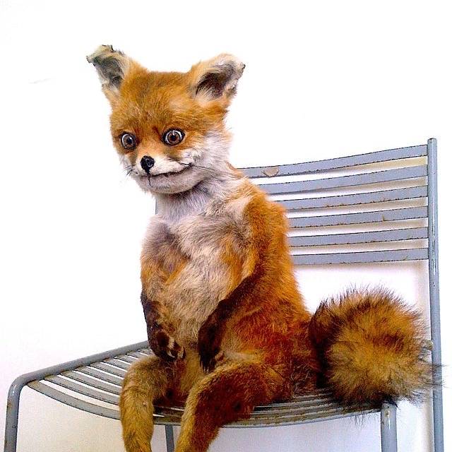 Иконка канала Pogorelov - TV