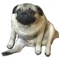 Иконка канала My Funny Pug